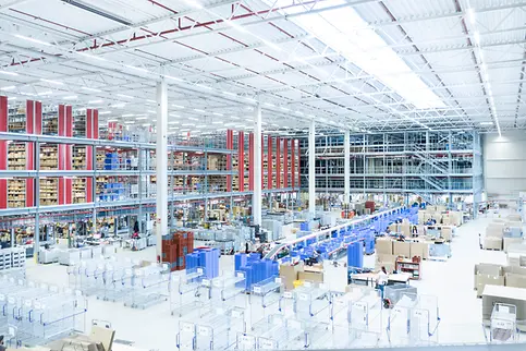 SSI Carrier, Logistics software WAMAS, IT, RF Picking, Radio Frequency Picking,