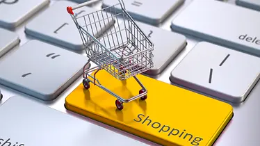 Supply Chain Solutions for E-Commerce