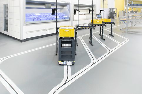 weasel_lite_DUD2766.tif