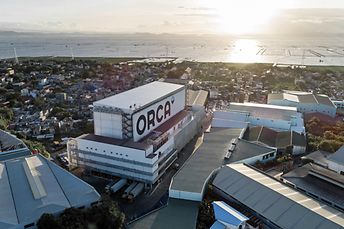 Orca
