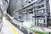 Kokikkartano_250_conveyor_system