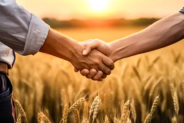 Handshake