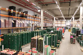 Verse producten logistiek – Precisie en zorg in elke stap